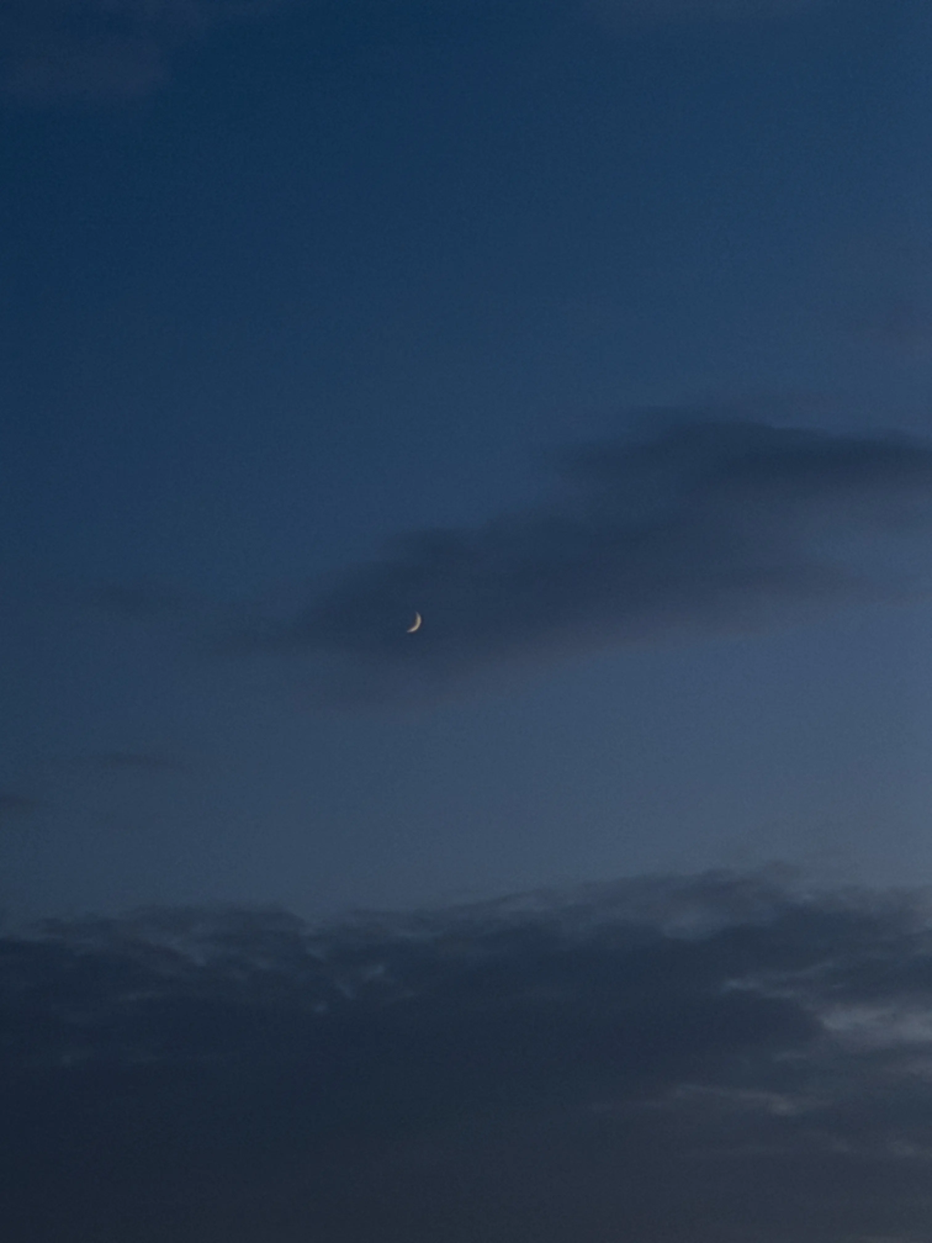 Hey Moon!
