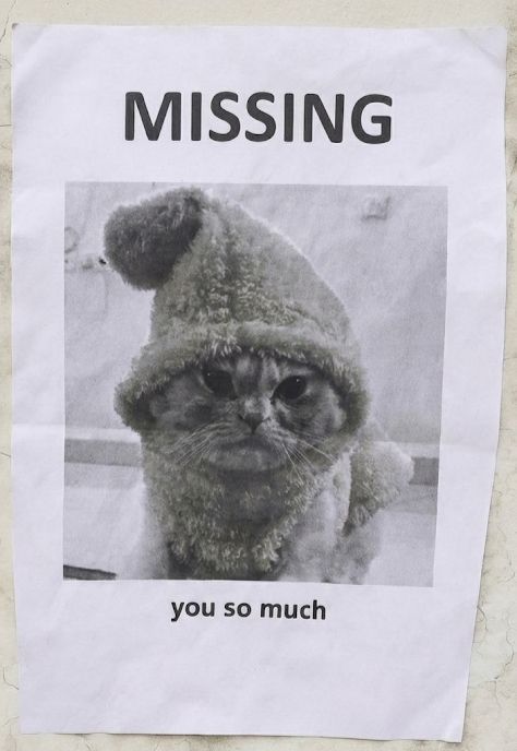 Megu poster