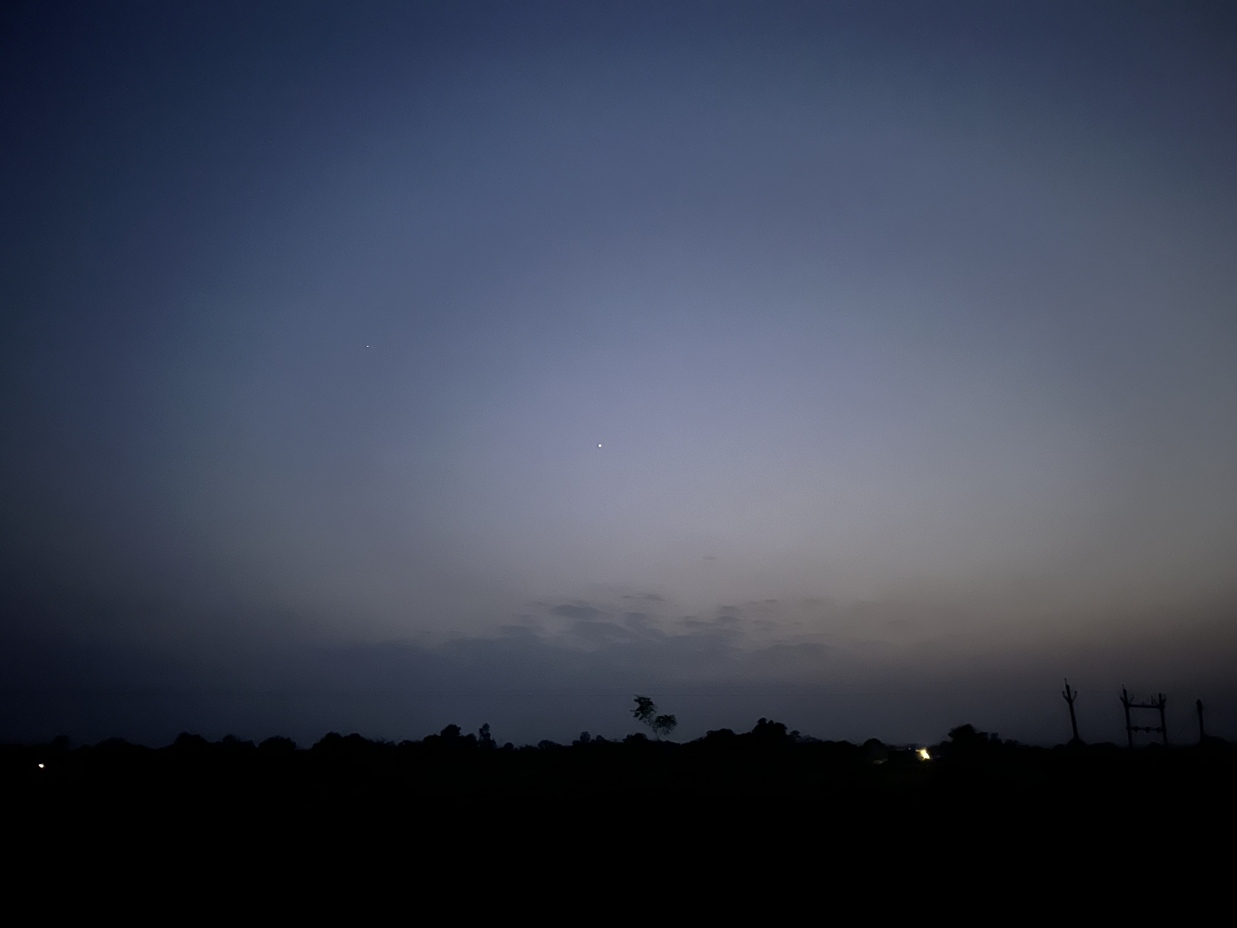 2024 retrospective photo