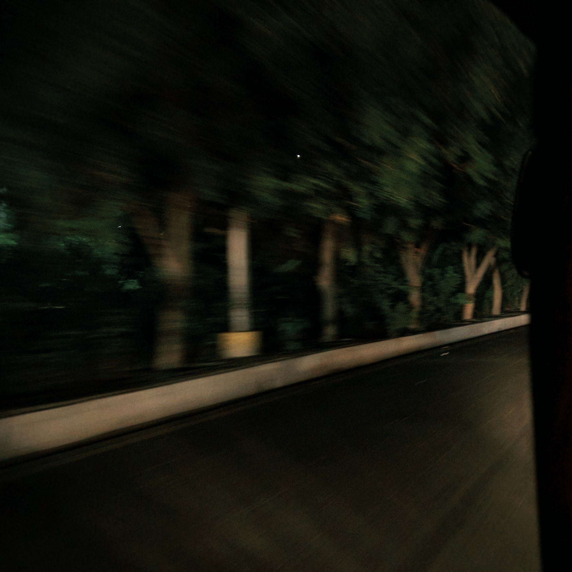 Life in motion